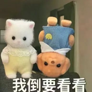东升国际官网-相信品牌力量